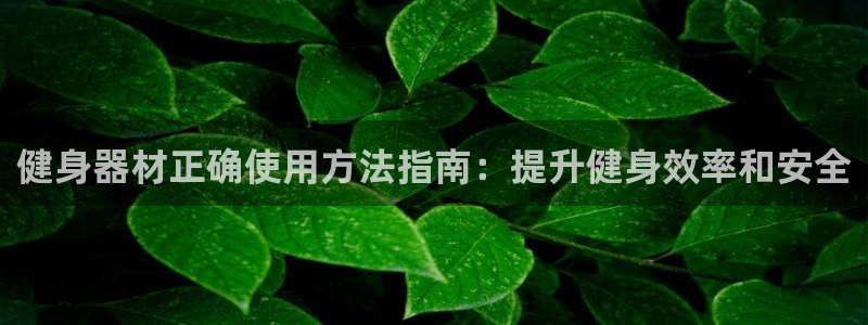 龙八国际app客户端下载不了