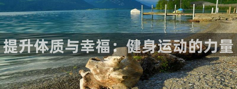 龙8国际安卓版