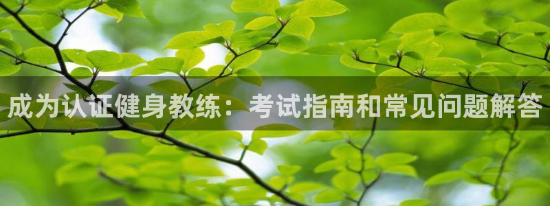 龙8国际是真的吗