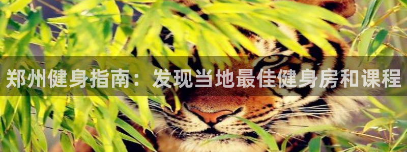 龙八国际娱乐官网app
