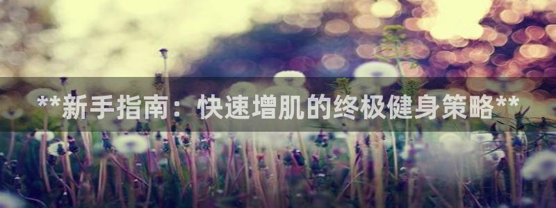 龙8游戏官方网站p