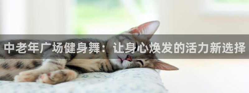 龙8国际是什么平台