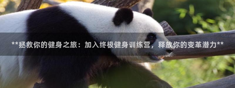 龙8国际唯一官网登录口