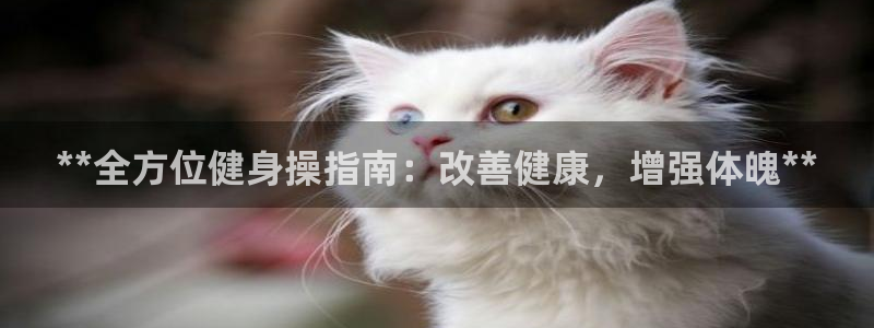 龙8国际电子游戏