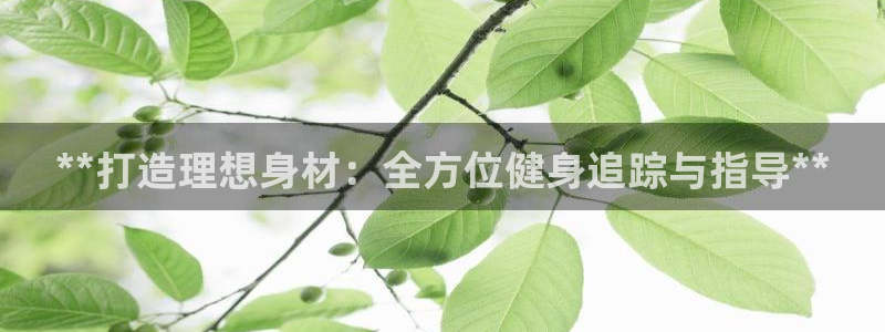 龙8国际long88
