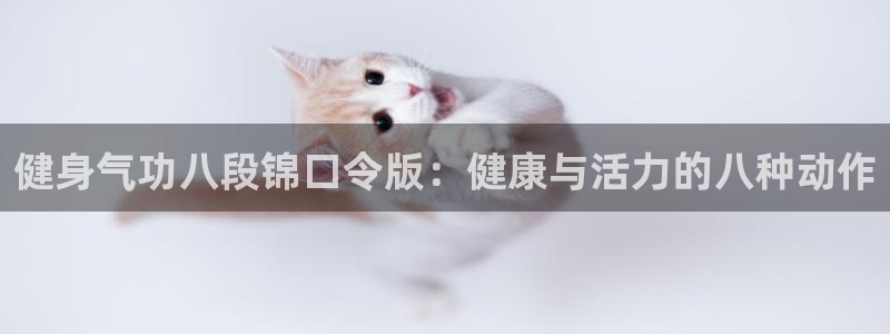 龙8国际现金