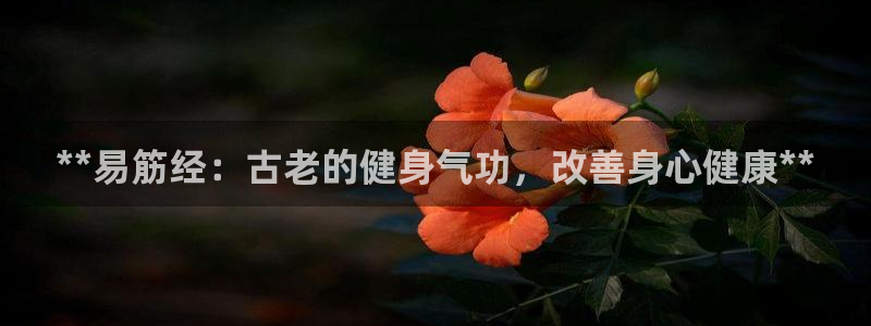 龙8游戏官方进入