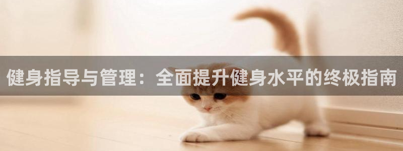 龙8国际的漏洞