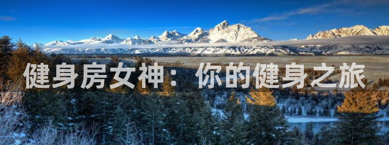 龙八国际网页