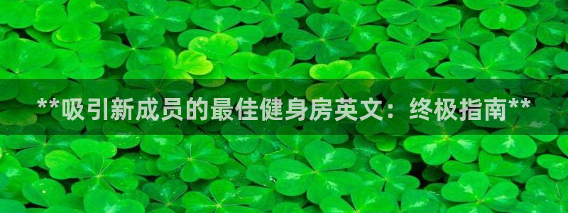 龙8国际long8