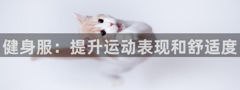 龙8国际老虎机娱乐