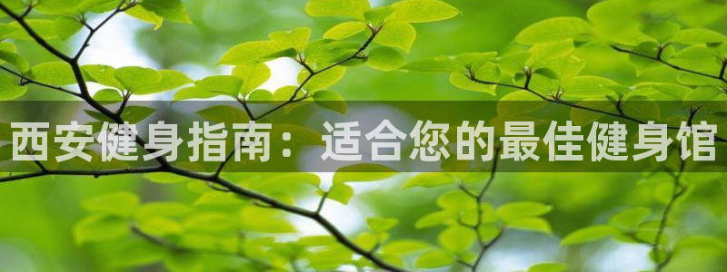 龙8国际手机版官网