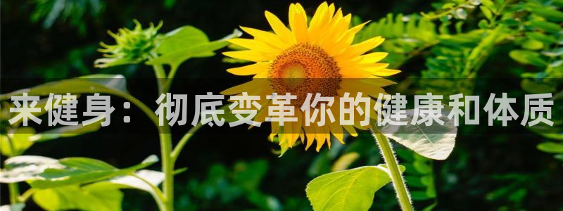 龙八国际服官网入口