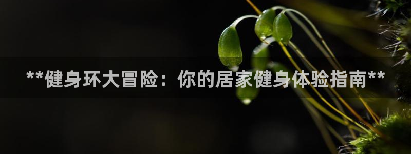 龙8官网国际