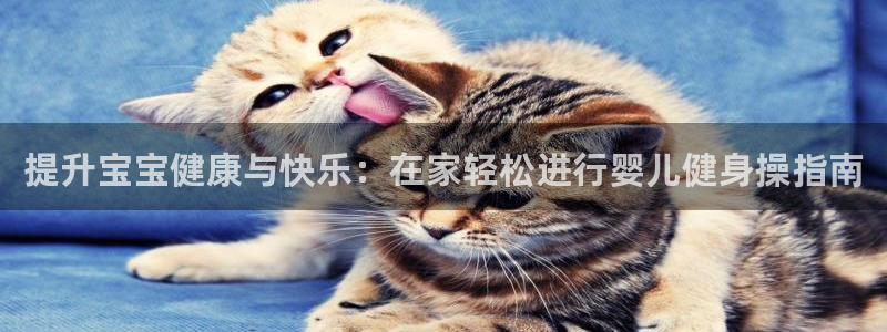 龙8国际试玩