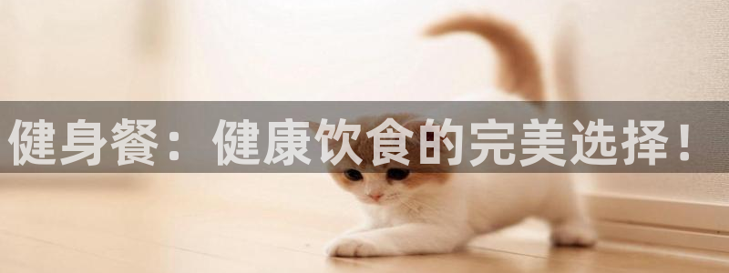 龙八国际2018最新官网