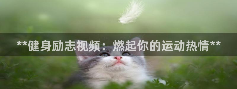 龙8国际app下载客户端