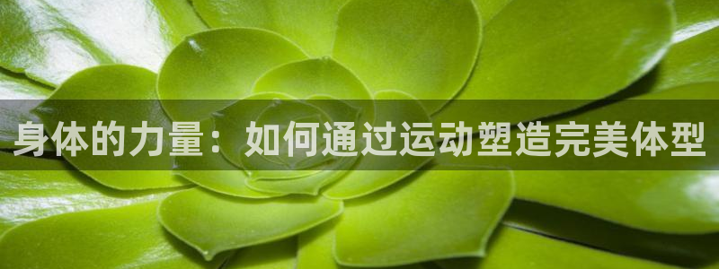 龙8国际官网 点此进入游戏