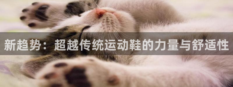 龙8国际龙8官方网站