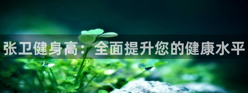 龙8国际老虎机游戏