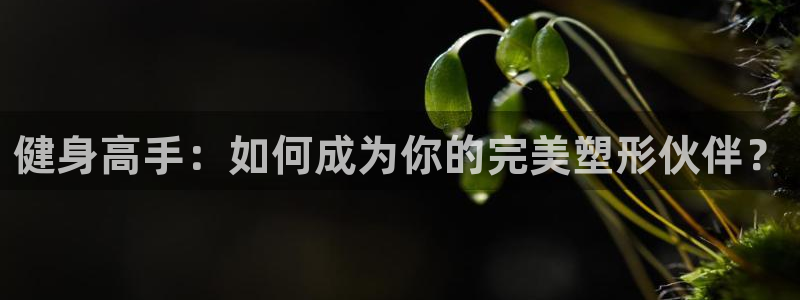 龙8国际app下载客户端