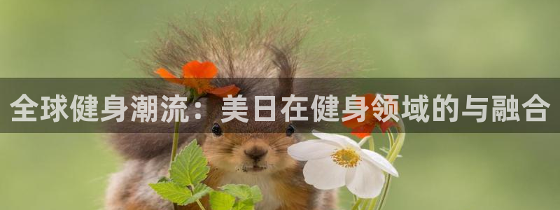 龙8国际官网多少