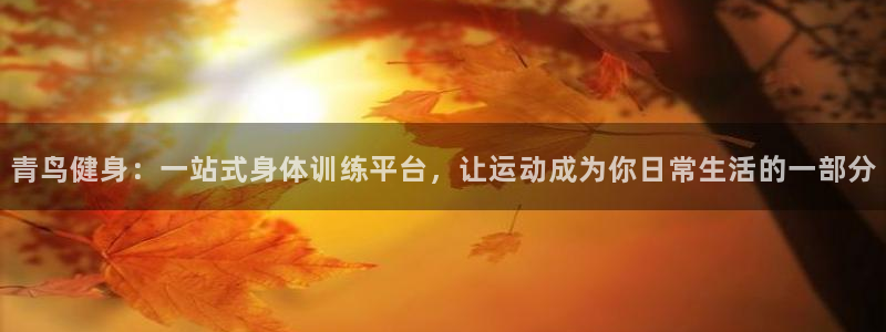 龙8国际怎么进不去了