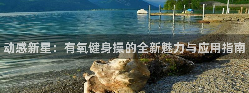 龙8国际pt网址官方