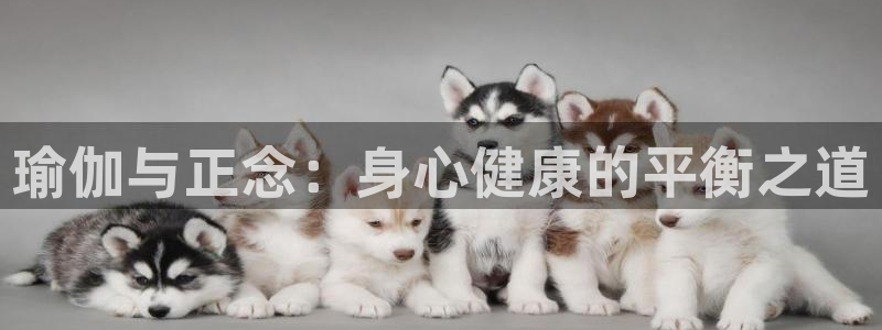 龙8国际手机版官网