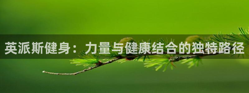 龙八棋牌
