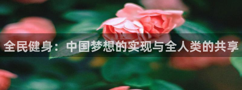 龙八国际服官网入口
