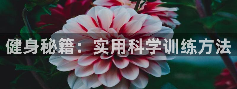 龙8国际手机版app