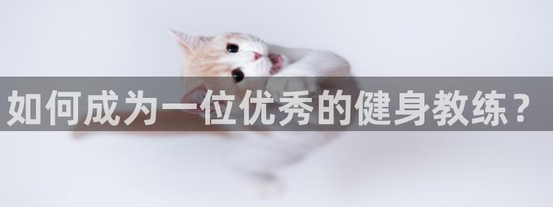 龙八国际网页登录