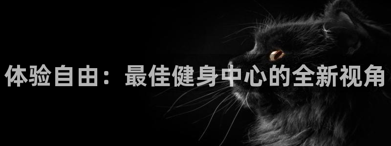 龙八国际娱乐老板是谁