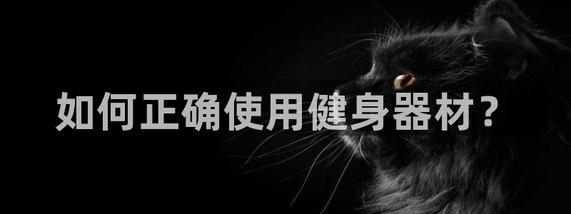 龙8国际2021年4.15更新版baoli