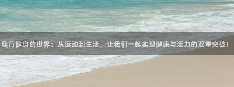 龙八国际官方网